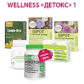 Програма WELLNESS Детокс