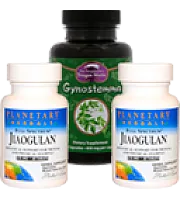 Гиностемма