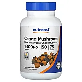 Гриб Чага (Chaga Mushroom)