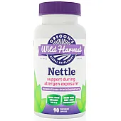 Крапива (Nettle)