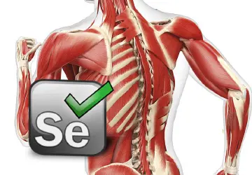 Селен для організму