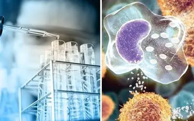 Травлюючі ферменти користь