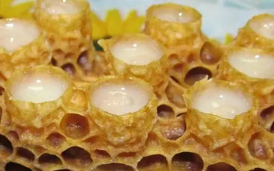 Польза маточного молочка